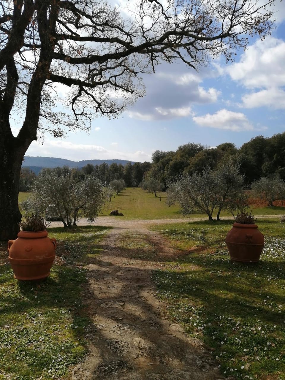 Natural landscape, Garden view
