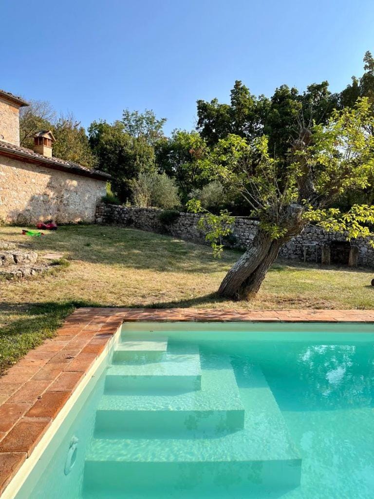 Garden, Pool view