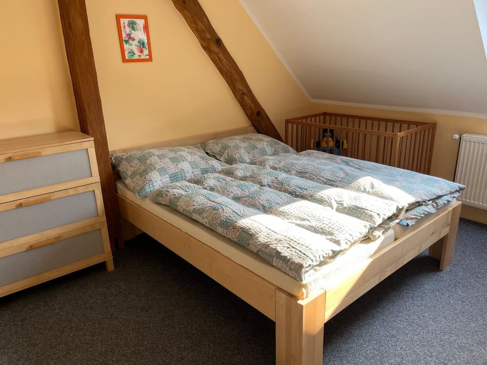 Ubytování Chotěvice Apartment in Czechia