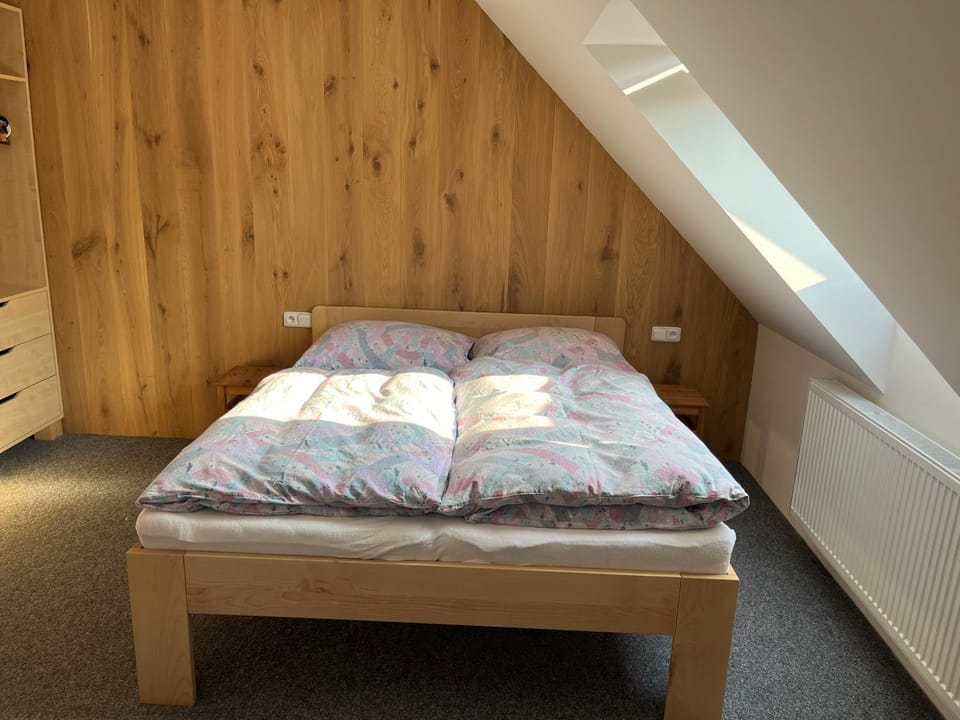 Ubytování Chotěvice Apartment in Czechia
