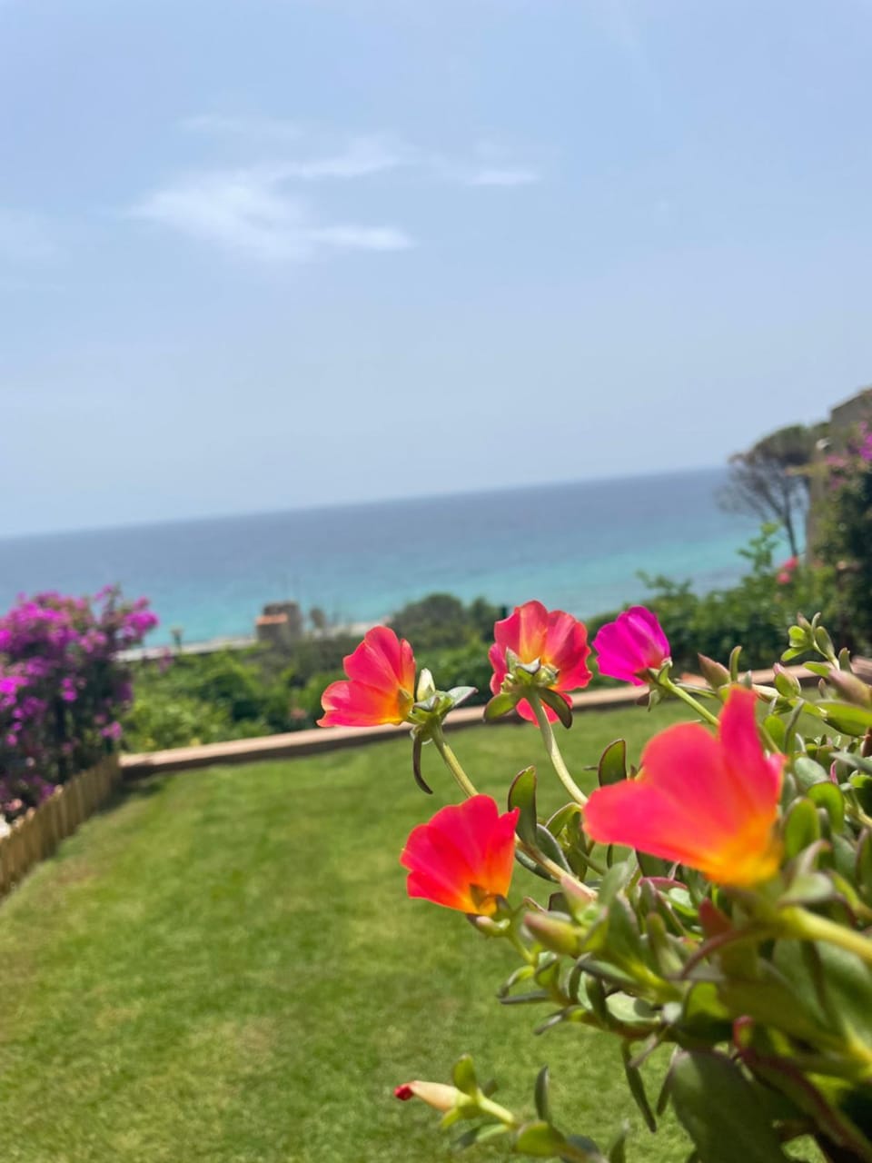 Spring, Natural landscape, Garden, Garden view, Sea view