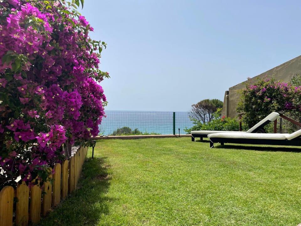 Natural landscape, Garden, Garden view, Sea view, sunbed