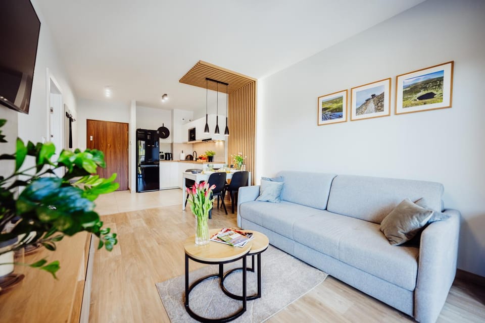 Living room, Dining area, kitchen