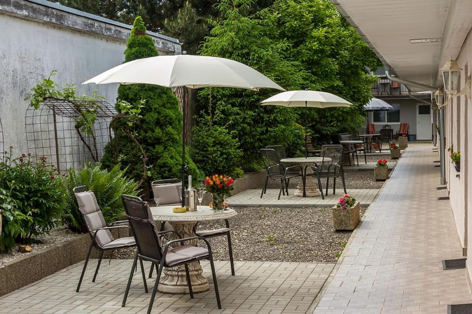Patio, Garden, Garden view