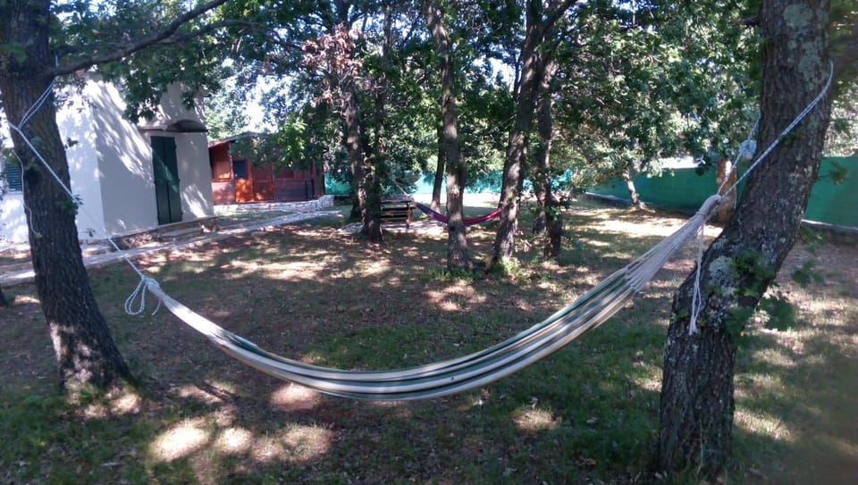 Neighbourhood, Natural landscape