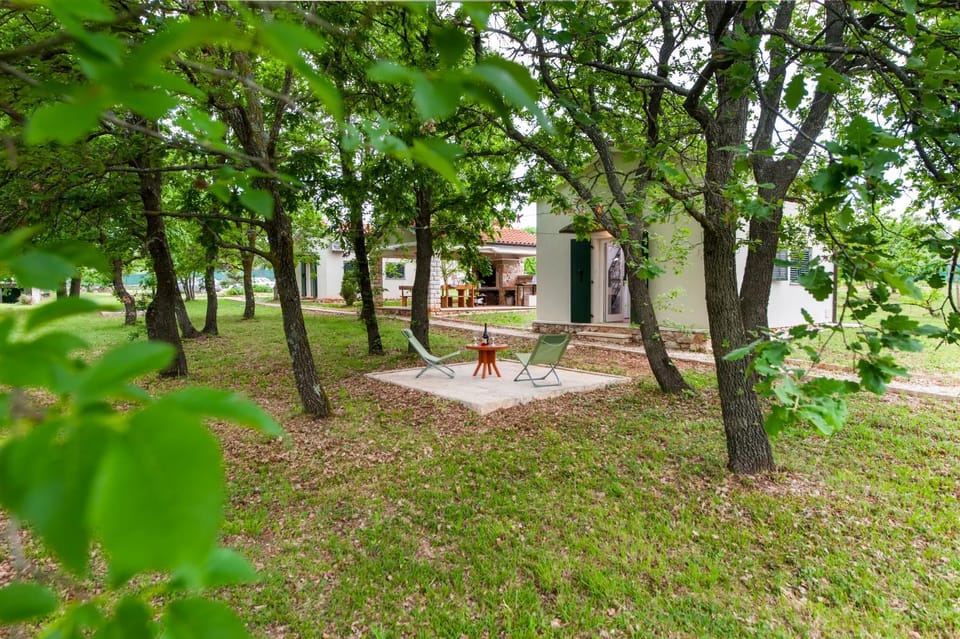 Natural landscape, Garden view