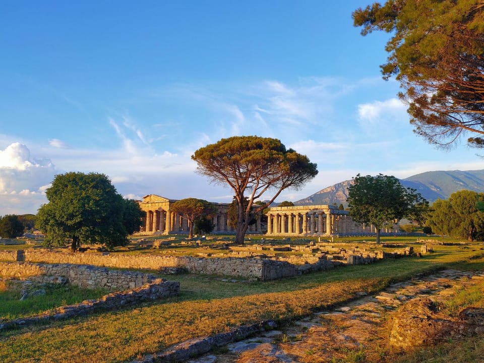 IL GIARDINO DI ATHENA House in Campania