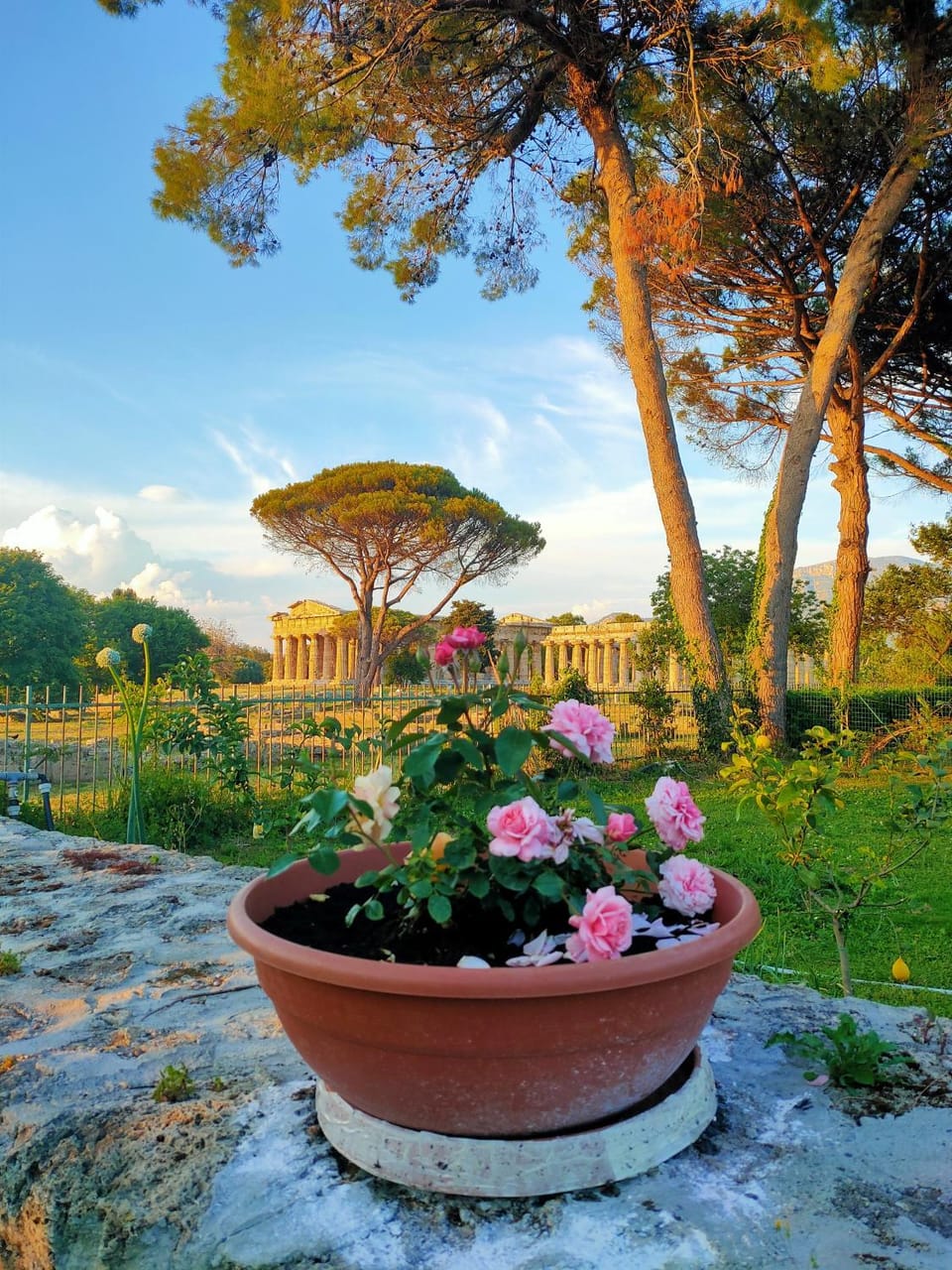 IL GIARDINO DI ATHENA House in Campania