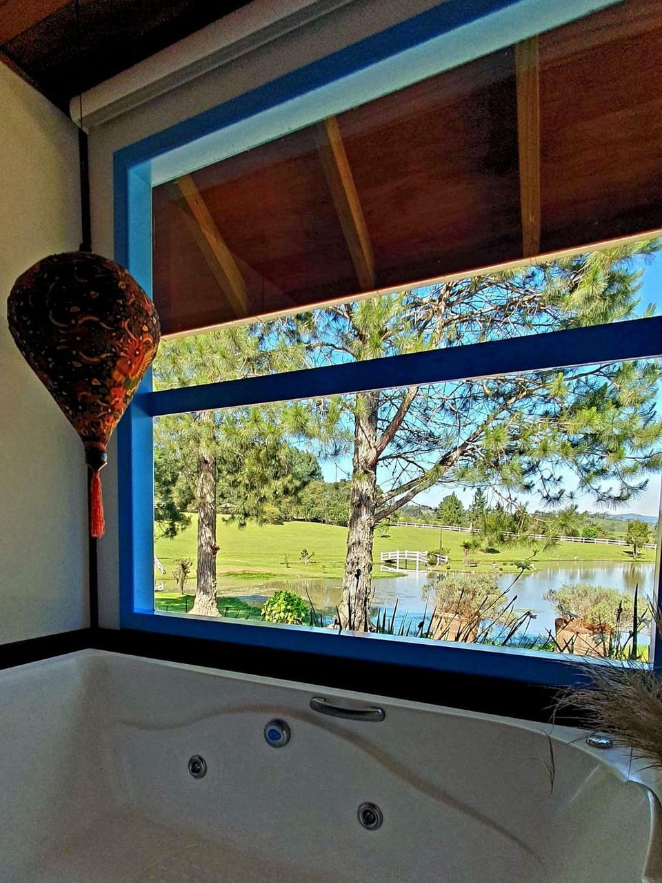 Lake view