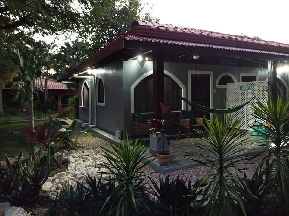 Property building, Garden view