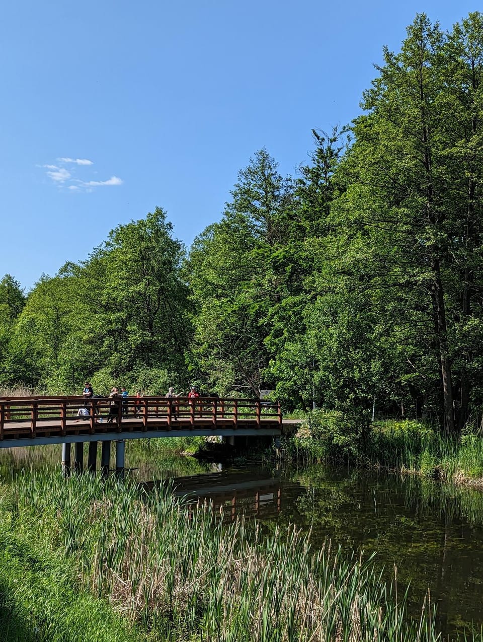 Apartament nad Drawą Apartment in West Pomeranian Voivodeship, Poland