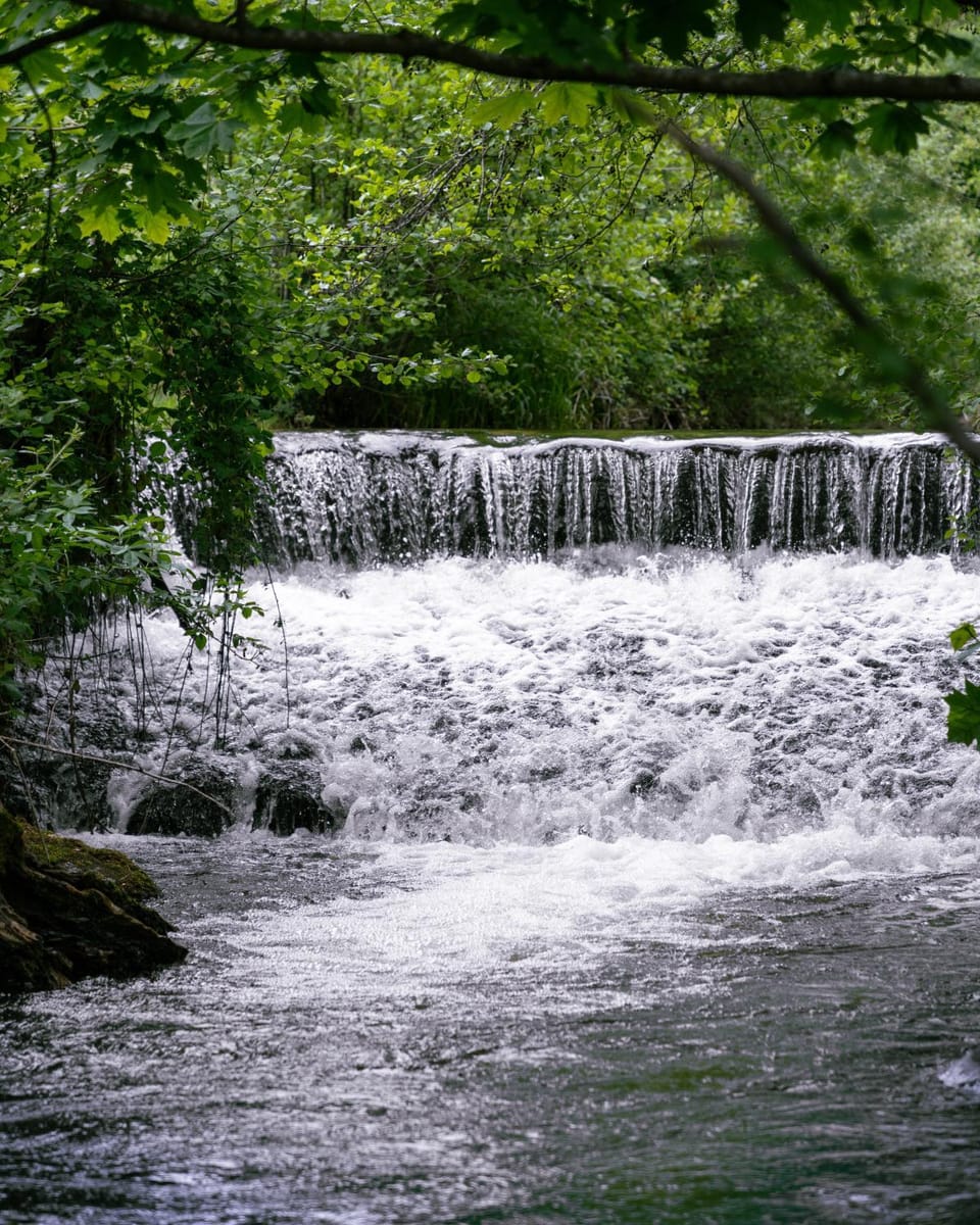 River view