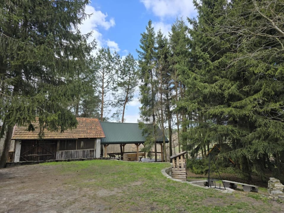 Szewnia Dolna Villa in Lviv Oblast