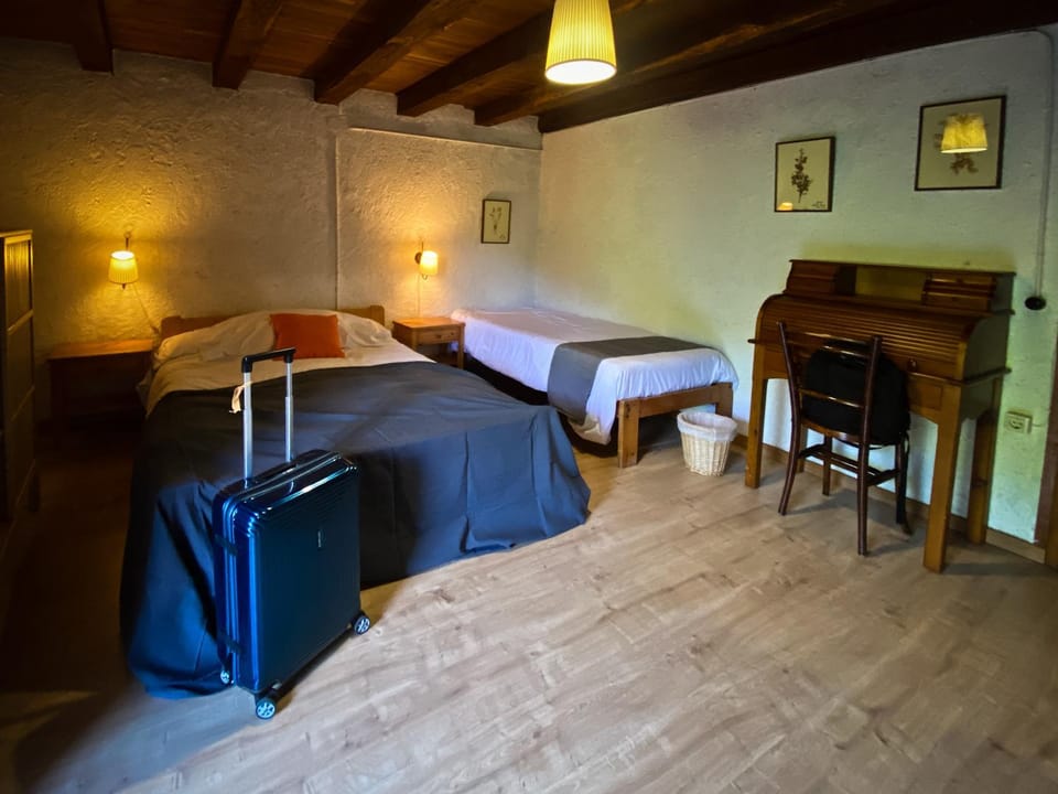 Bed, Photo of the whole room