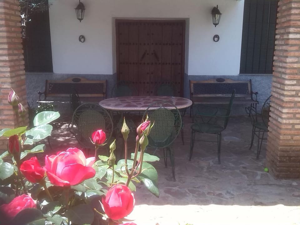 Patio, Facade/entrance