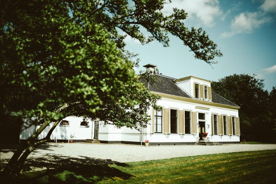 Property building, Day, Garden