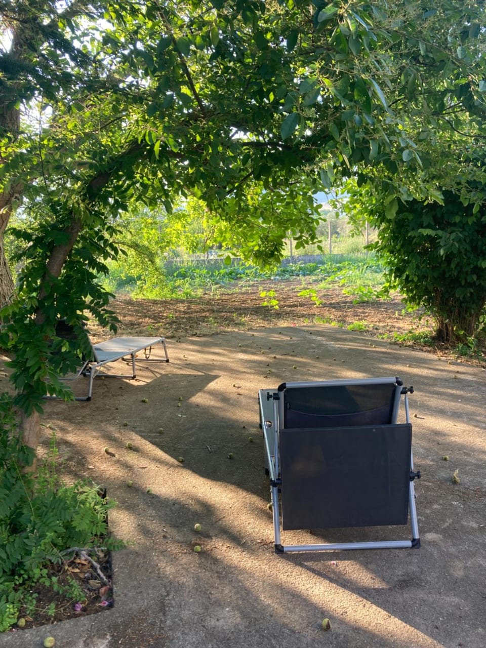 CASAMONACO Bed and Breakfast in Calabria