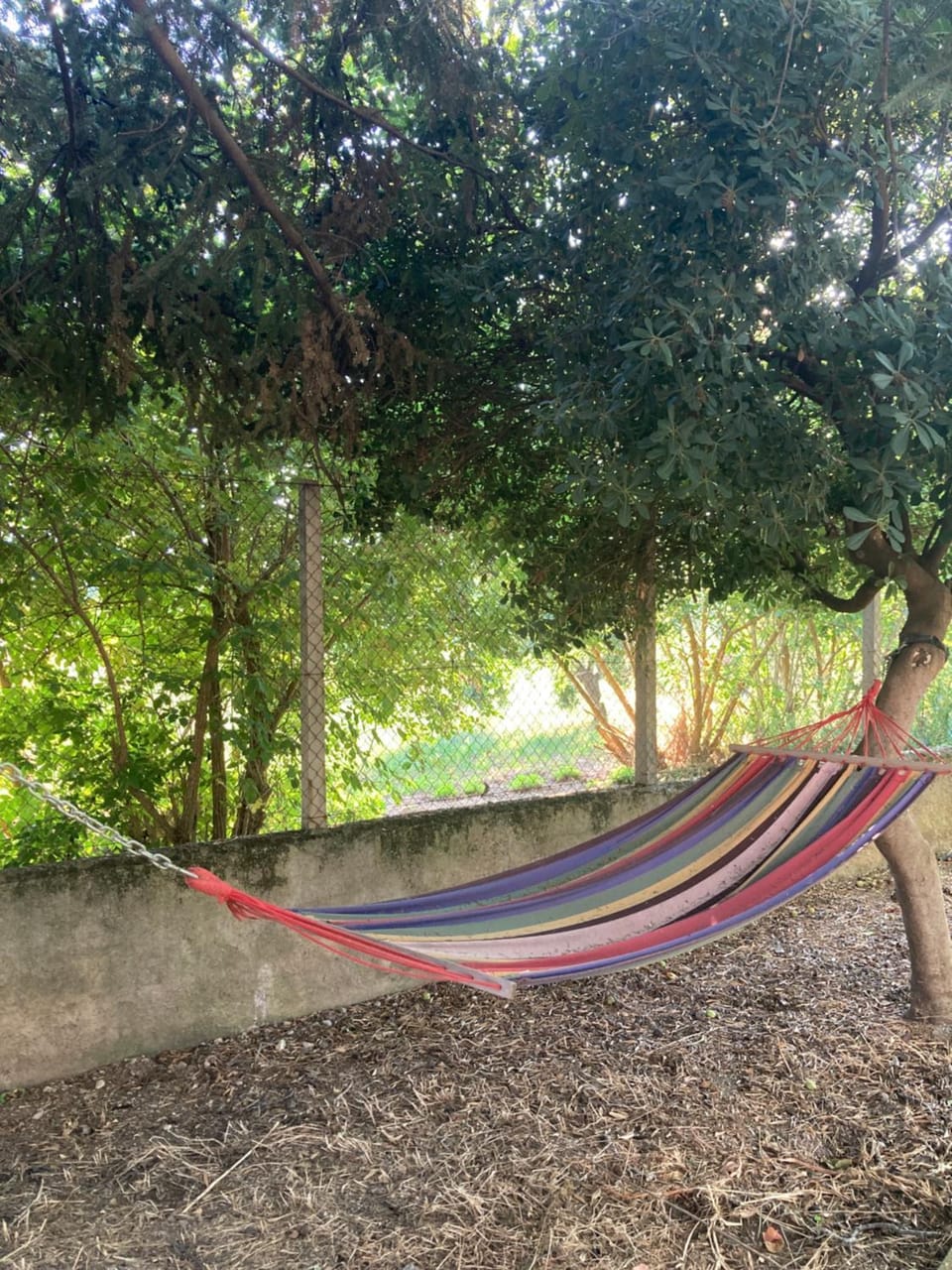CASAMONACO Bed and Breakfast in Calabria