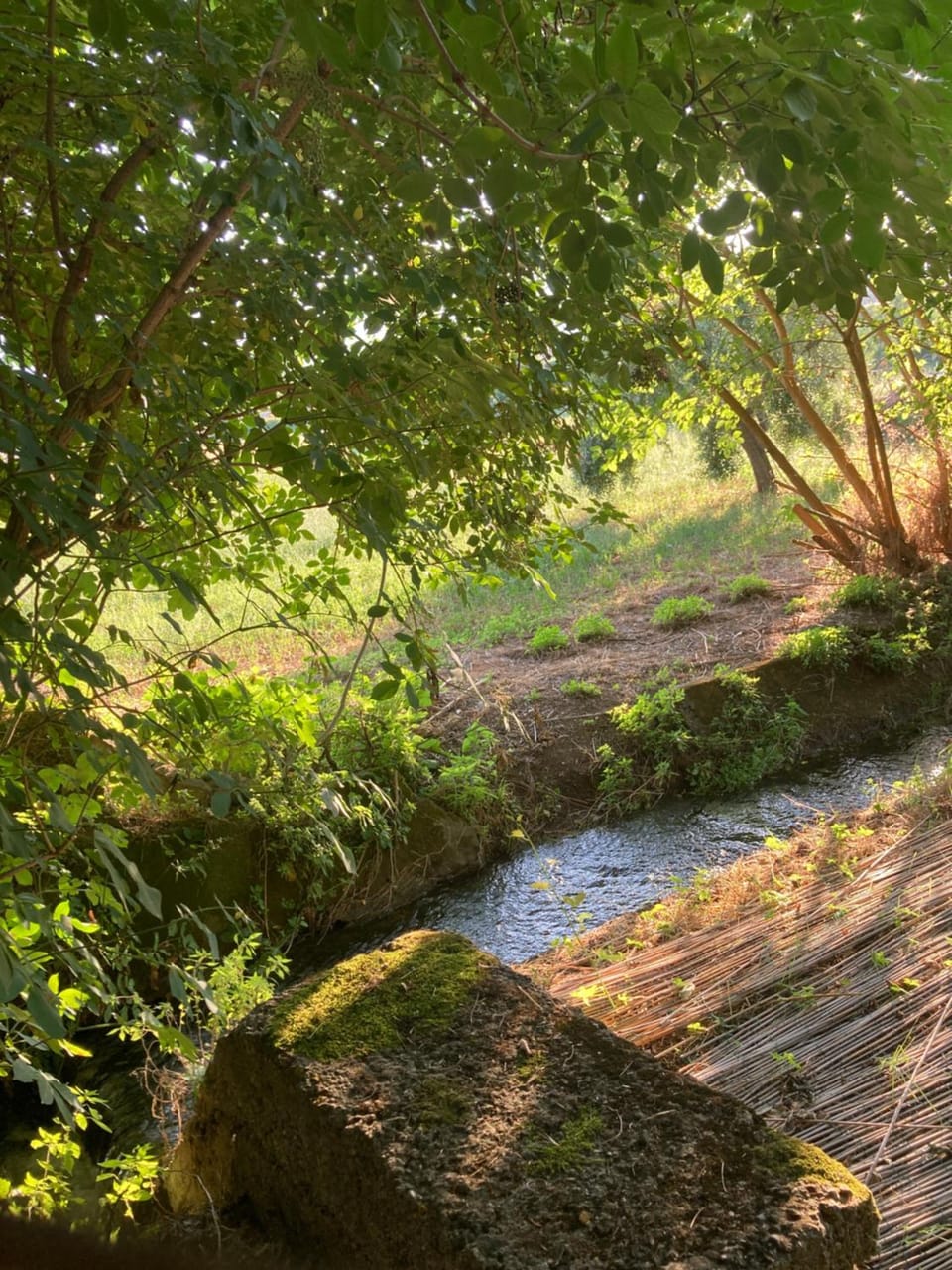CASAMONACO Bed and Breakfast in Calabria
