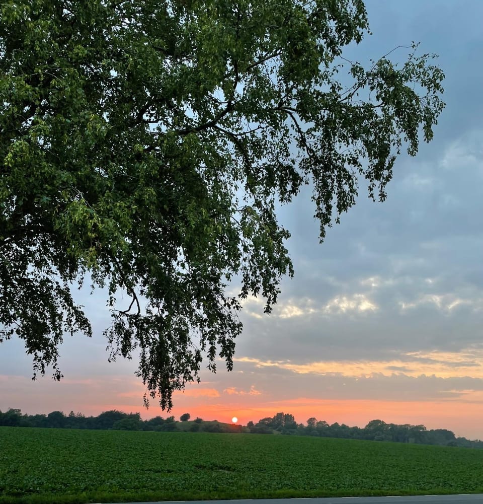 Natural landscape, Sunset
