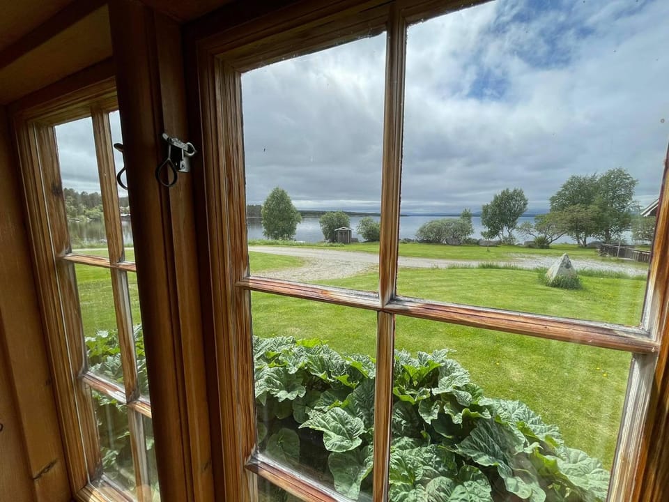 Lake view