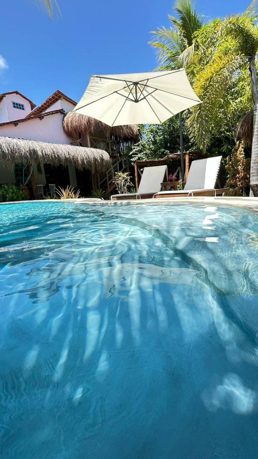 Day, Swimming pool, sunbed