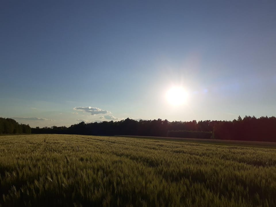 Natural landscape, View (from property/room), Sunset