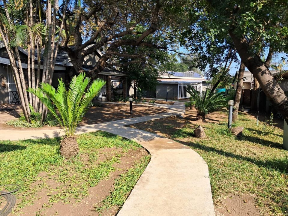 Day, Garden, Garden view
