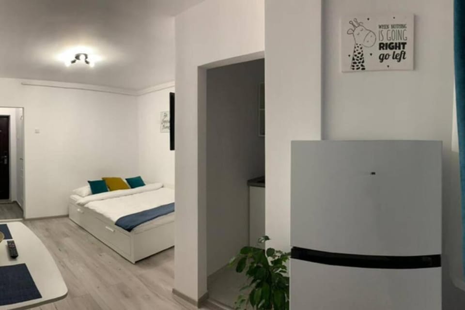 Cozy Studio Apartament Zalau Apartment in Cluj County
