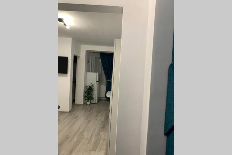 Cozy Studio Apartament Zalau Apartment in Cluj County