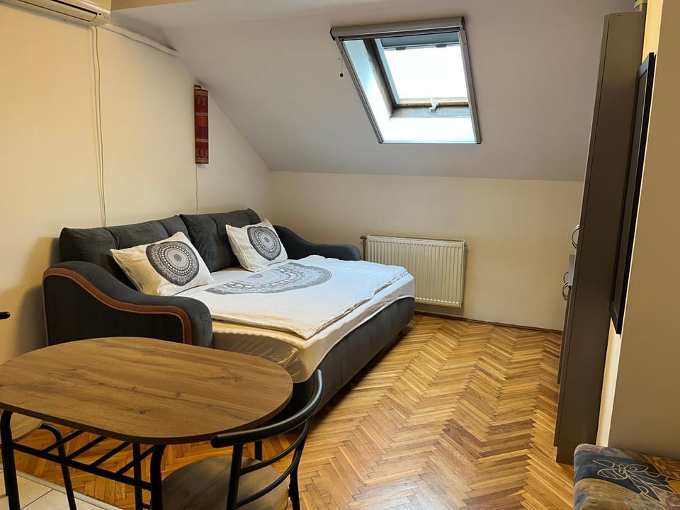 Studio in the centre of Novi Sad Apartment in Novi Sad