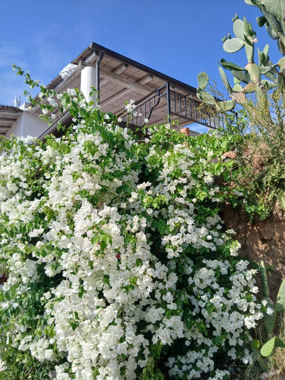 La casa blu superior Villa in Lipari
