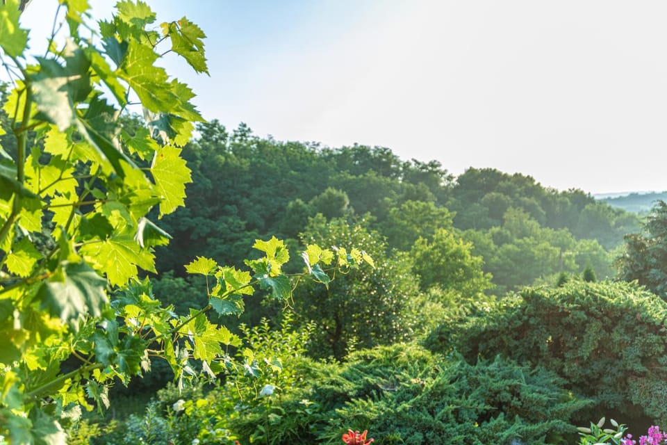 Natural landscape, Garden view