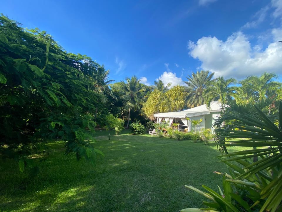 Day, Natural landscape, Garden, Garden, Garden view