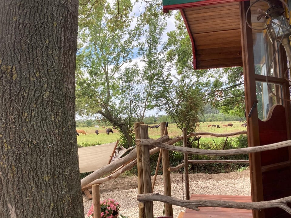 Internal: Not applicable to any particular room