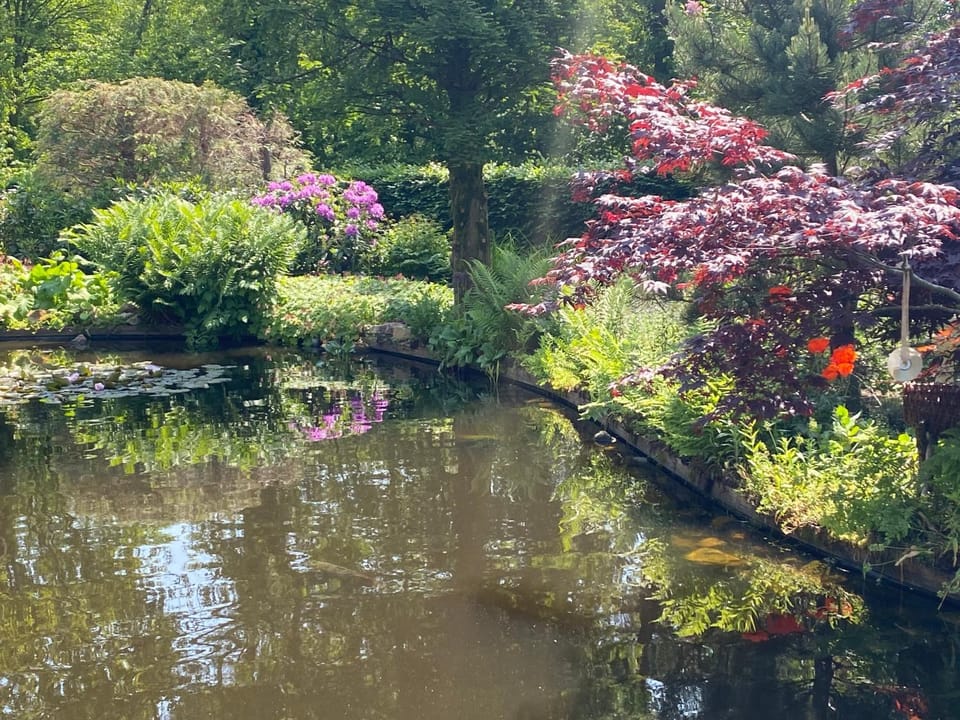 B&B. Het Hunebed Rolde Bed and Breakfast in Drenthe (province)