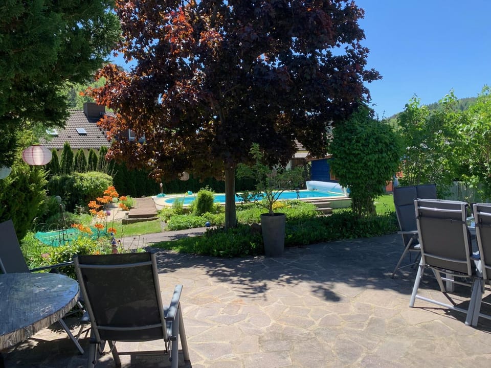 Garden, Swimming pool