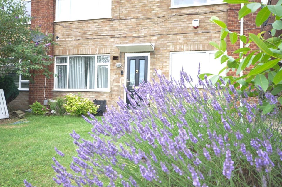Property building, Facade/entrance, Spring, Day, Garden, Garden view