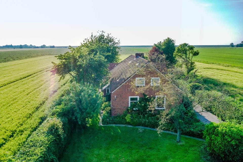 Property building, Bird's eye view