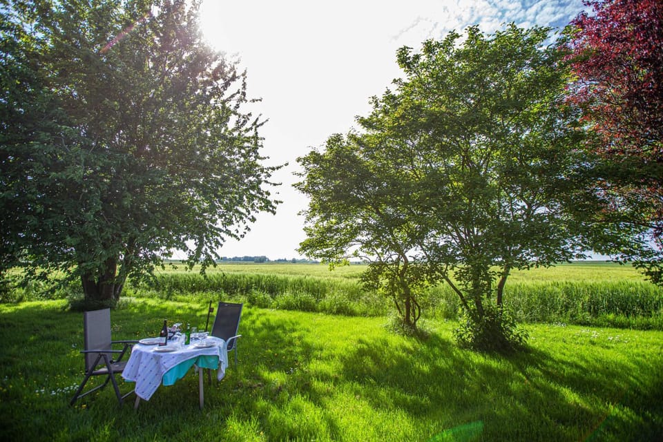 Natural landscape, Garden, View (from property/room)