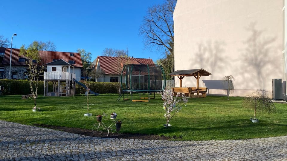 Spring, Day, Garden view