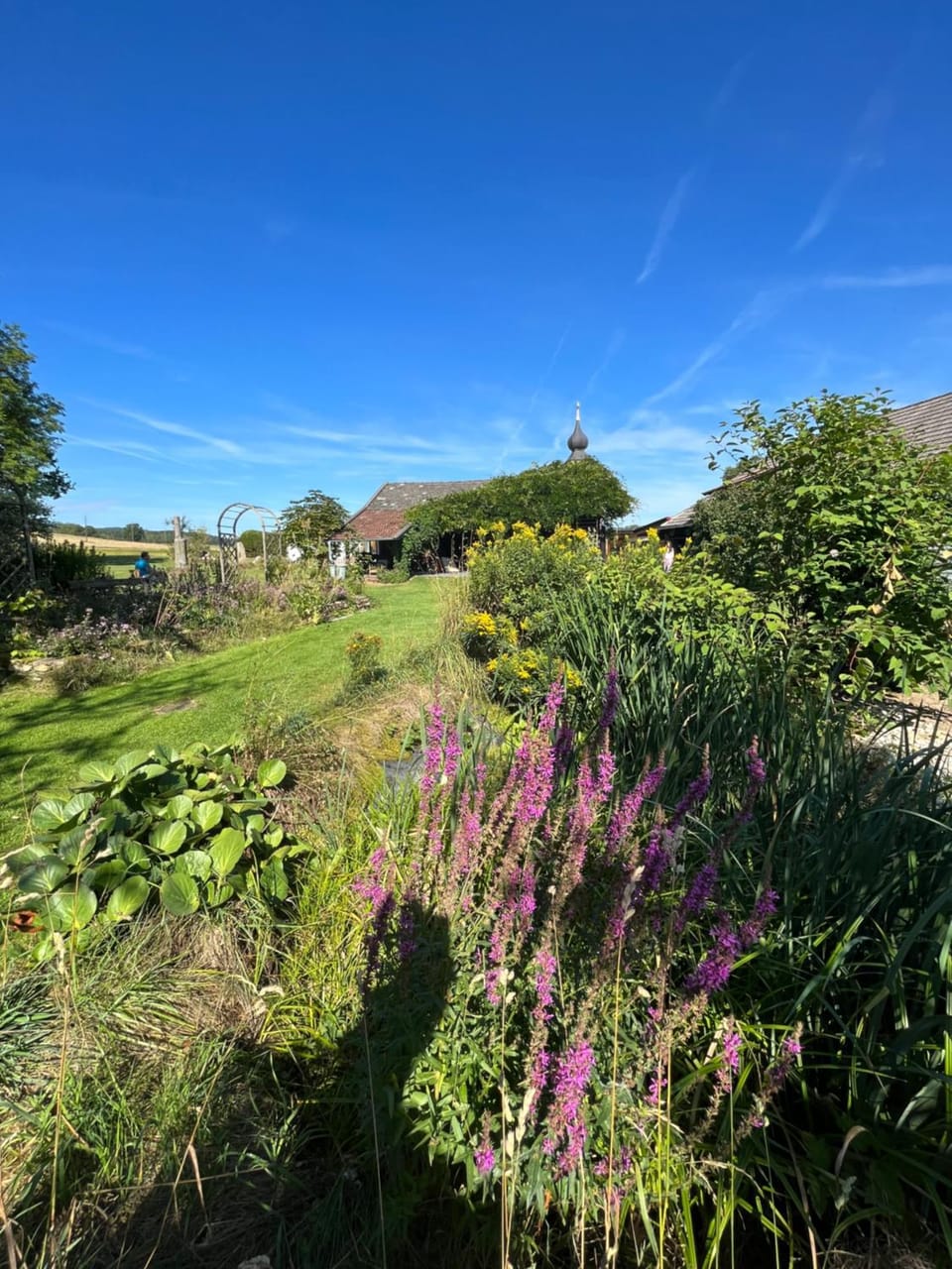 Wunderschönes MansardenStudio, mit Balkon und Garten Vacation rental in South Bohemian Region