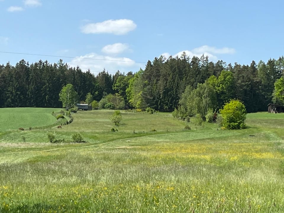 Wunderschönes MansardenStudio, mit Balkon und Garten Vacation rental in South Bohemian Region