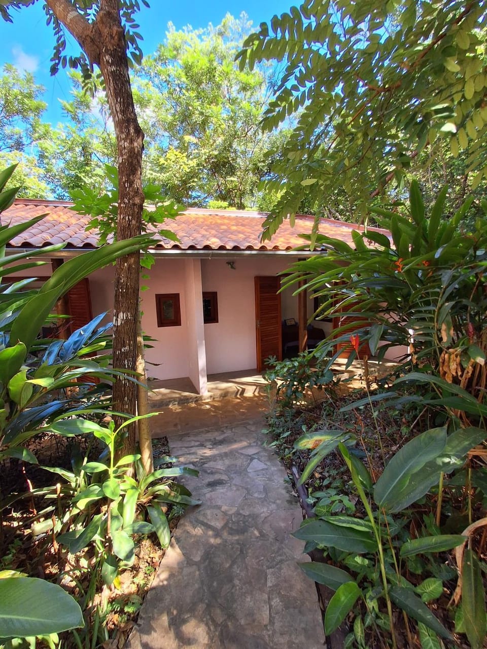 Property building, Garden, Garden view