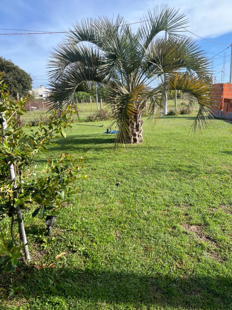 Natural landscape, Garden, Garden view