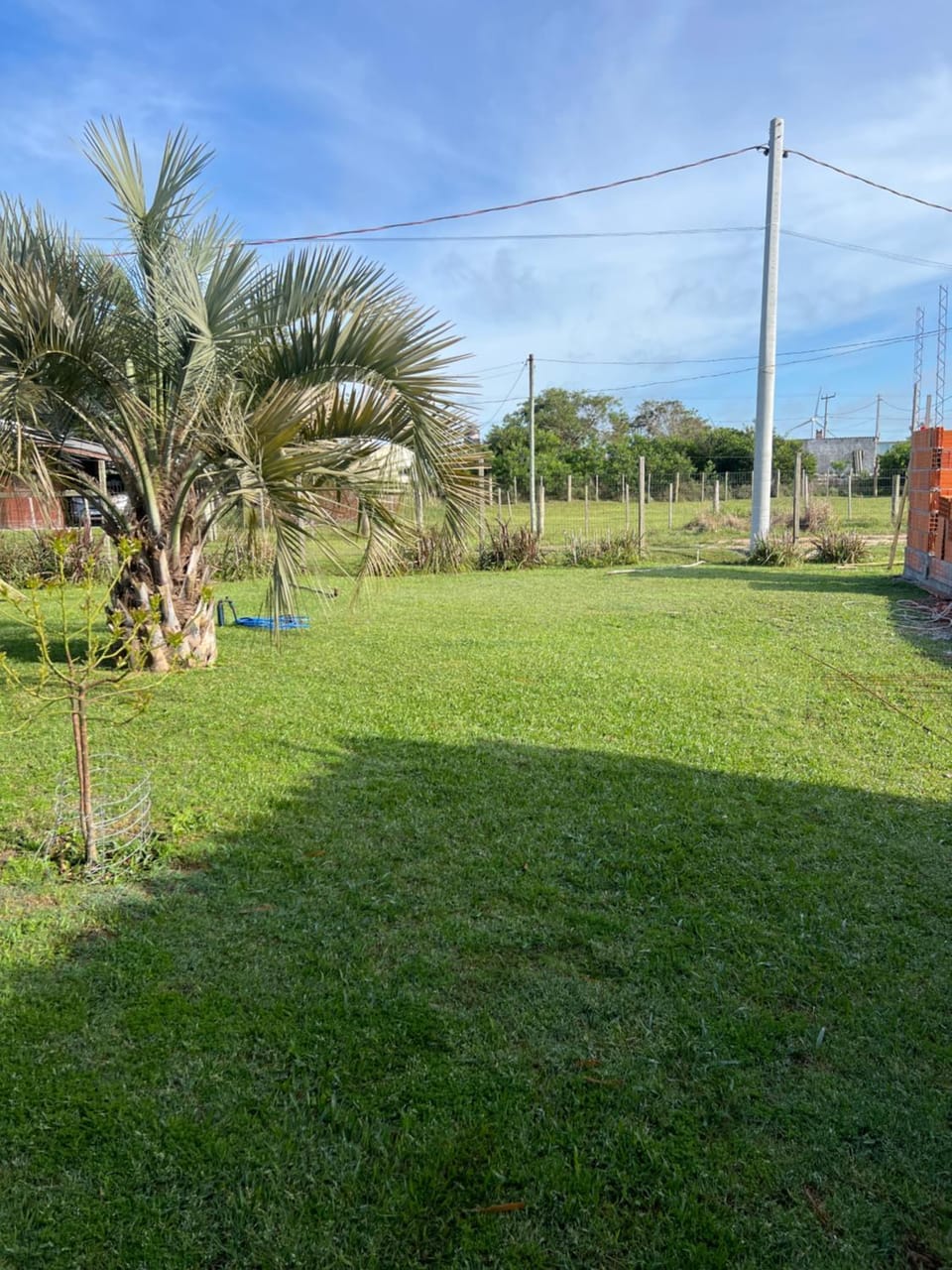 Spring, Garden, Garden view