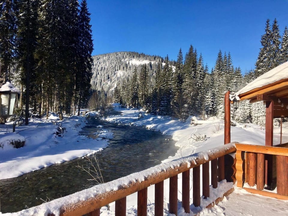 Pensiunea Vanatorul Bed and Breakfast in Romania