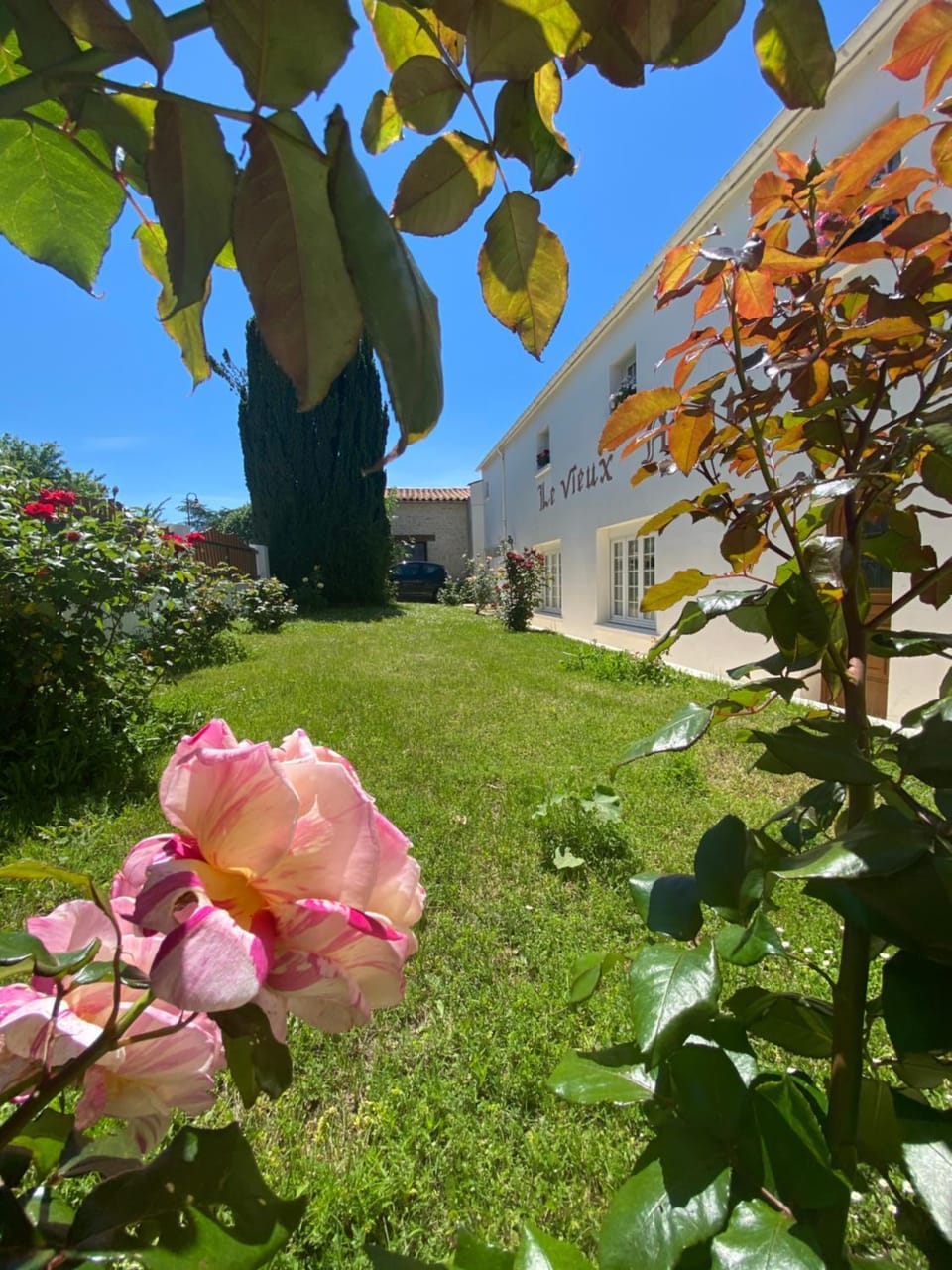Garden, Garden