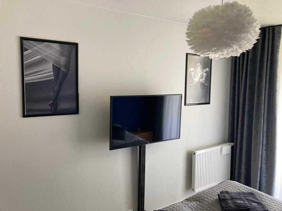 TV and multimedia