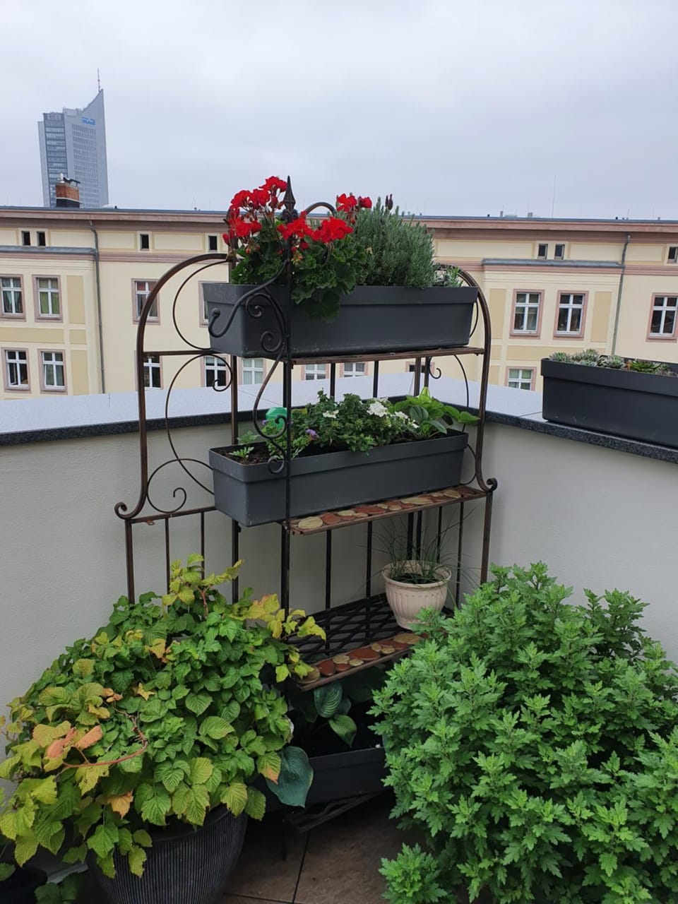 Balcony/Terrace